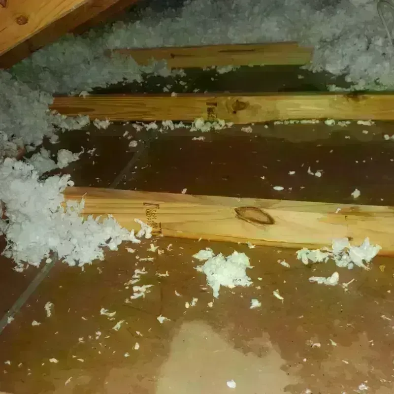 Attic Water Damage in Mount Vernon, VA